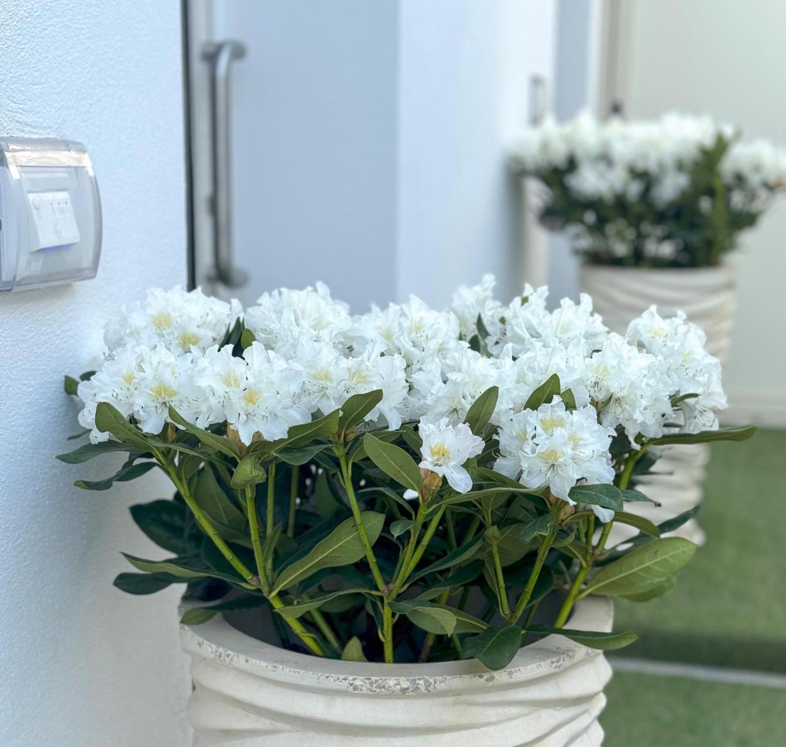 Vicoletto Fiorito Hotel Porto Empedocle Exterior photo